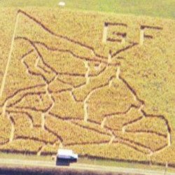 2005 Corn Maze